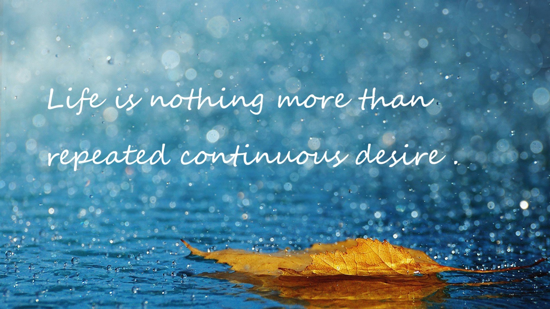 _冰雪奇缘:冰雕赛趣味运动体验_,冰雪梦幻奇缘冰雕馆