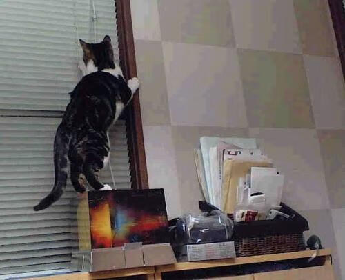 九游9游-_悬念不断：淘汰赛阶段激烈冲刺_，淘汰赛后面是什么赛