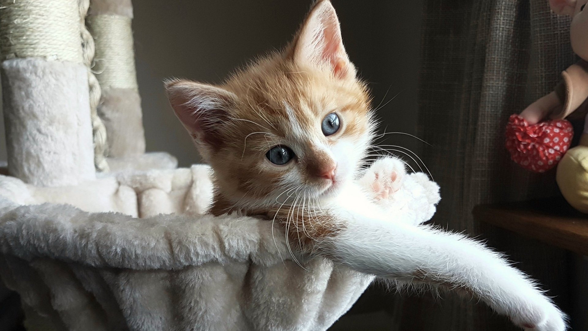 【打击战术揭秘】为何某队击球效率提升如此显著,击球时机