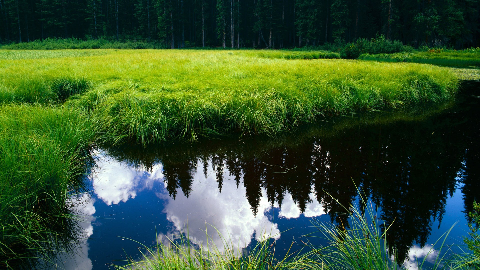 九游网游官网-【青训营】培养未来世界冠军的秘密武器，未来训练营