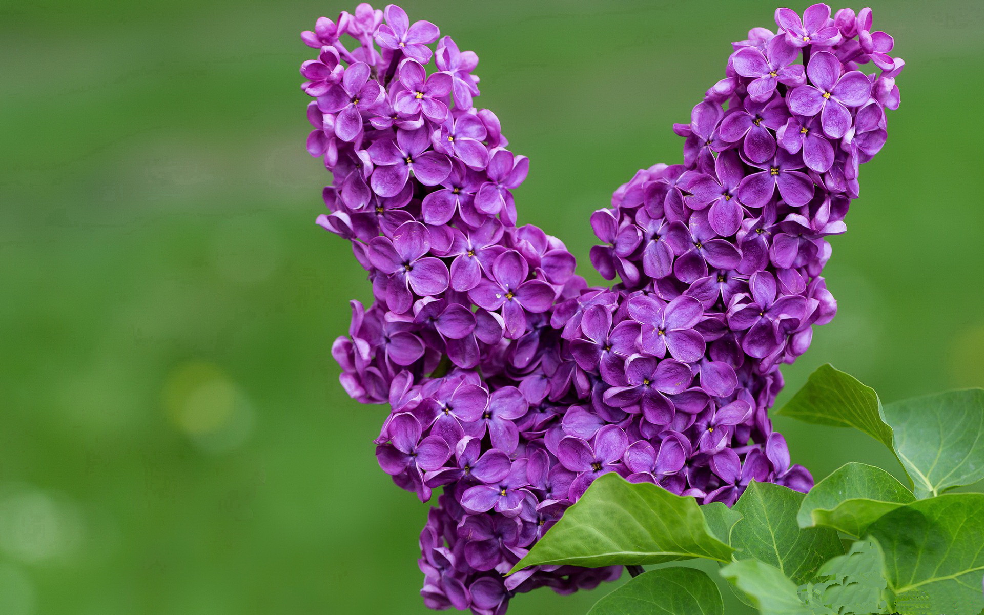 九游官网pc-友情岁月：那些因为篮球结下的兄弟情谊，因篮球结缘的友情