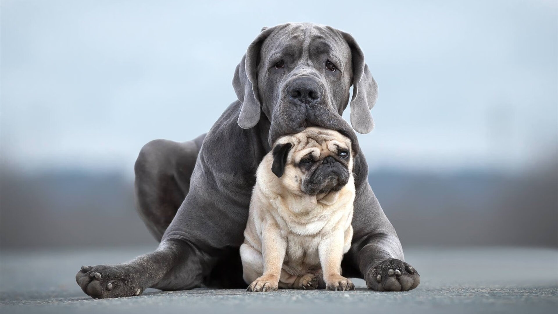 Jiu You-库里的“神级”传球和飙突，你看过哪些令人震惊？，库里传书