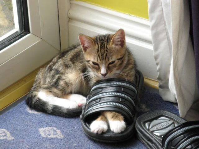 Jiuyou-未来智慧足球场馆实现“全场景”智能控制，提升使用体验，足球智能云科技