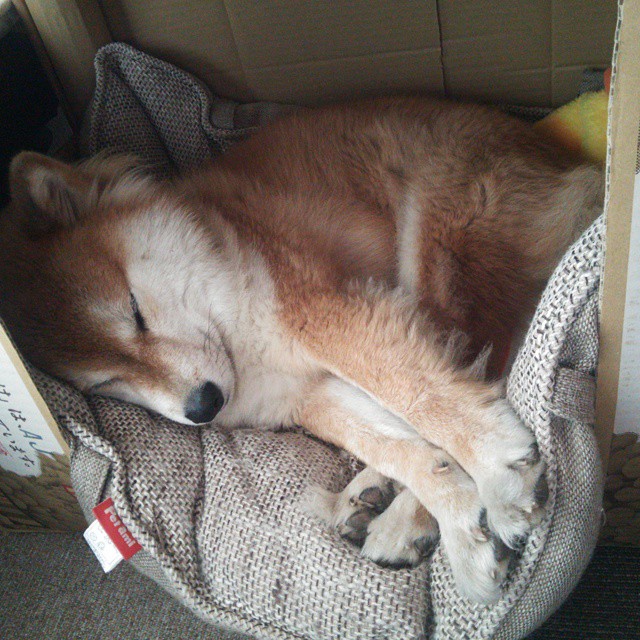 九游登录入口-湖人爆冷胜快船！，湖人险胜快船