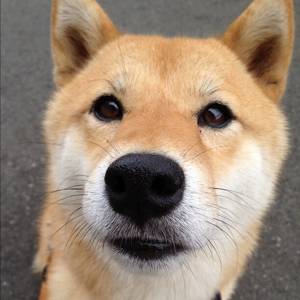 竞技攀岩:挑战攀登新时代,攀岩竞标赛