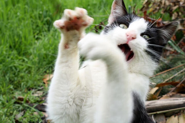 稳定骑行越野竞速,领略郊野风光,骑越野自行车可以锻炼哪里