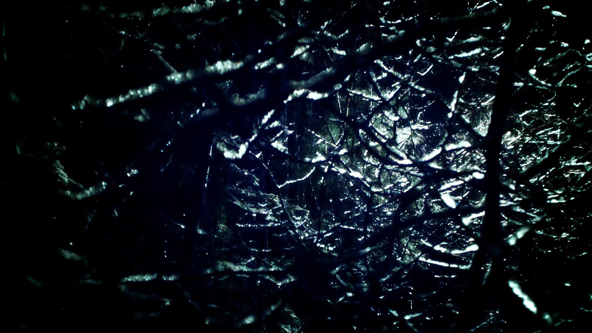 九游游戏中心-葡萄牙骑手玛丽亚·卡埃塔诺在2024年葡萄牙盛装舞步锦标赛中获得个人赛银牌，展现坚韧精神。