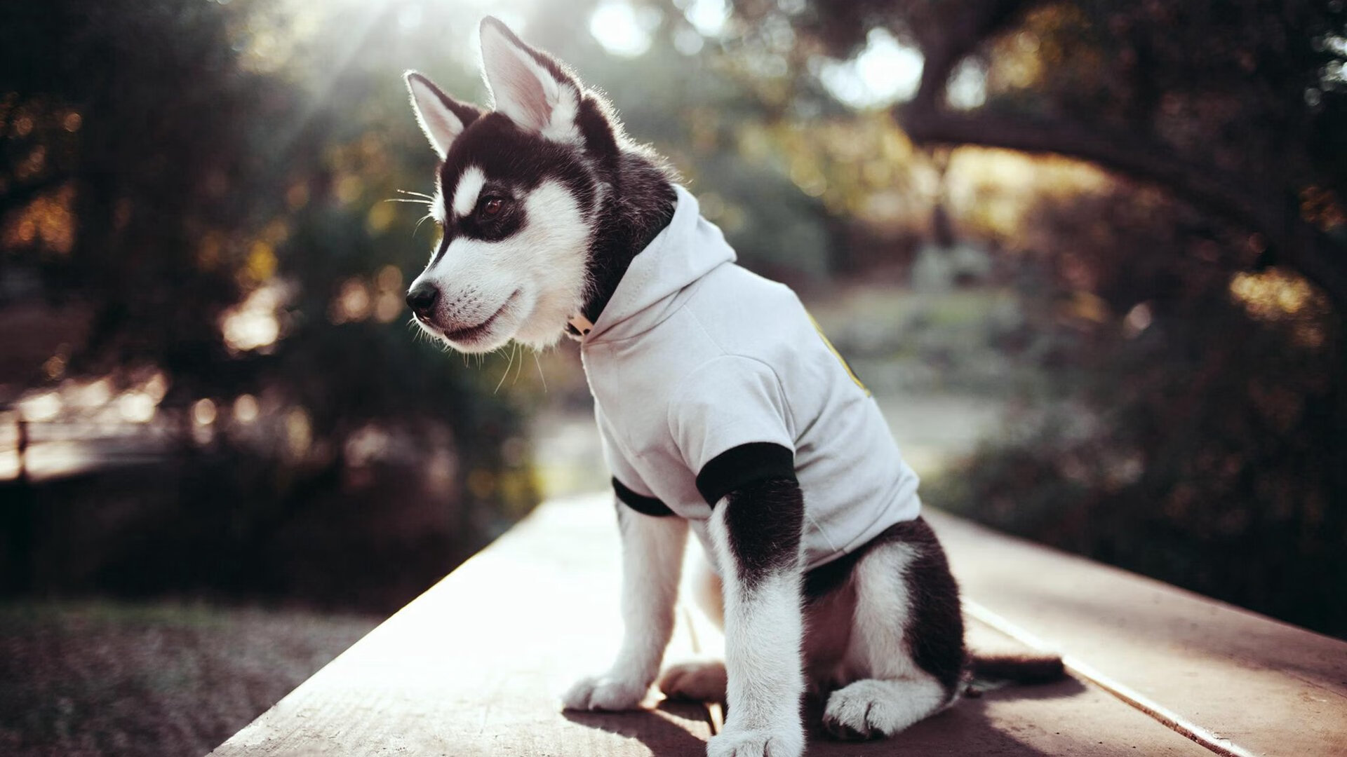 虚拟试驾:未来科技带来的新玩法,汽车虚拟试验