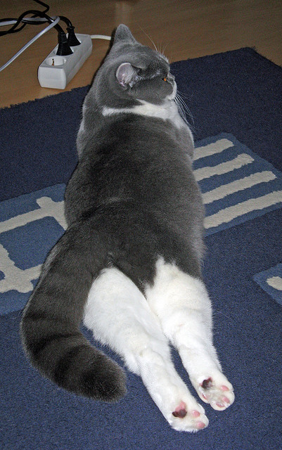 争分夺秒!比赛节奏紧张,胜利前途未卜,比赛争夺的十分猛烈病句