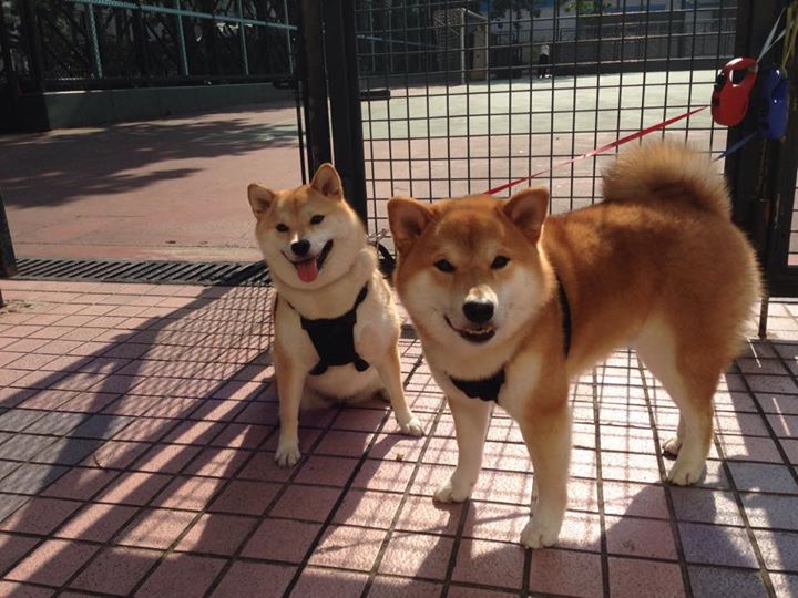 体育竞技场面精彩绝伦,精彩不断,描写体育竞技场面的片段