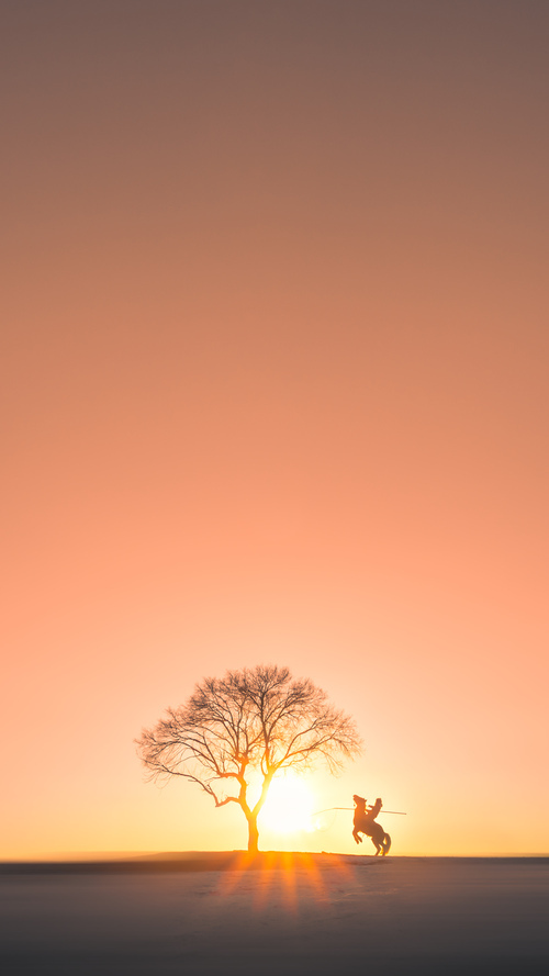 九游(jiuyou)官方网站-卡利亚里后卫犯错失分，球队遭遇不利结果，卡利亚里转会