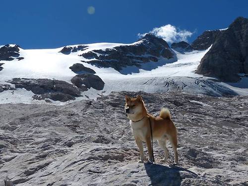 九游下载官网-河床冲击联赛前列，河床冲积
