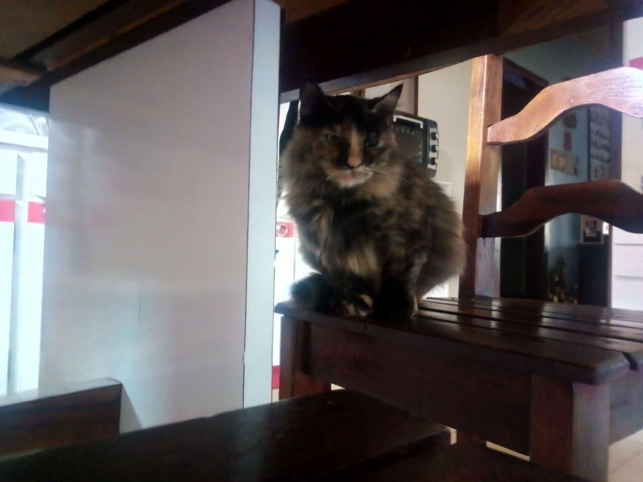 独行侠大胜勇士，关键一役中东契奇末节爆发，独行侠胜马刺 东契奇三双