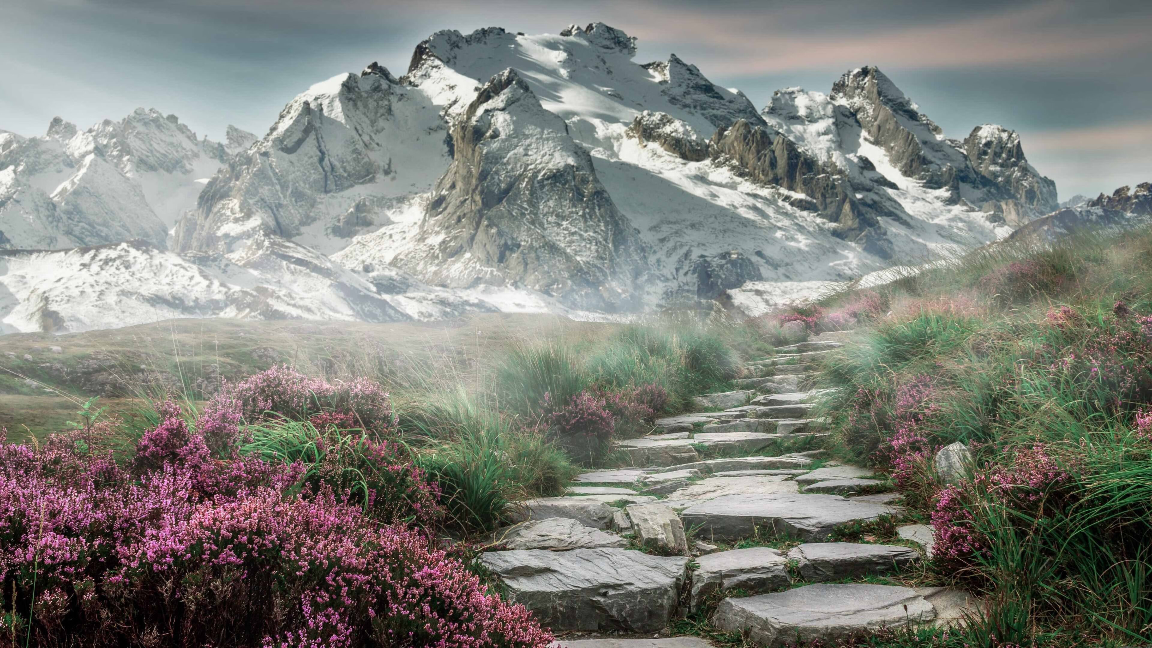 电竞职业选手训练中的数据分析应用,电竞数据分析是干嘛的