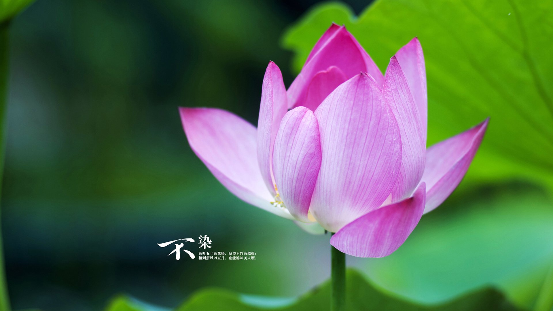 中国篮球职业联赛球队管理创新模式探索，管理篮球队的一些规则