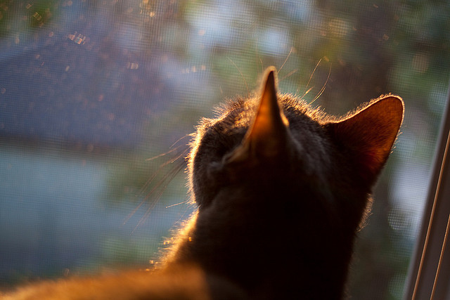 中超新赛季人员流动统计报告，中超新赛季球队