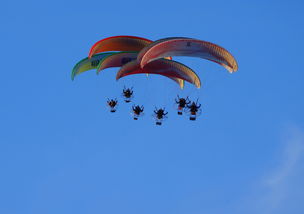 九游网-英超球队结合疲劳评分系统动态分配替补上场时机，英超伤病报告_球员受伤成本逐年攀升