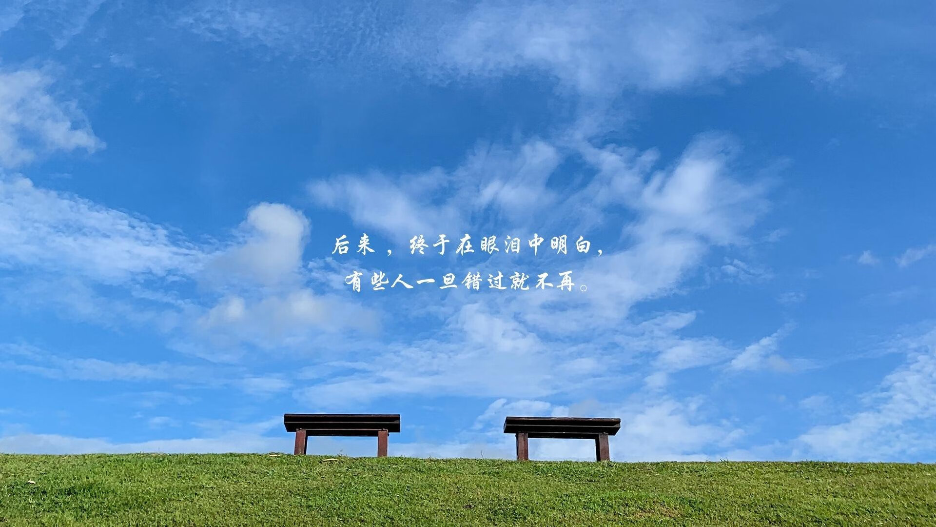 九游app下载中心-“东部新区定向越野：运动员在迷雾中寻觅胜利”