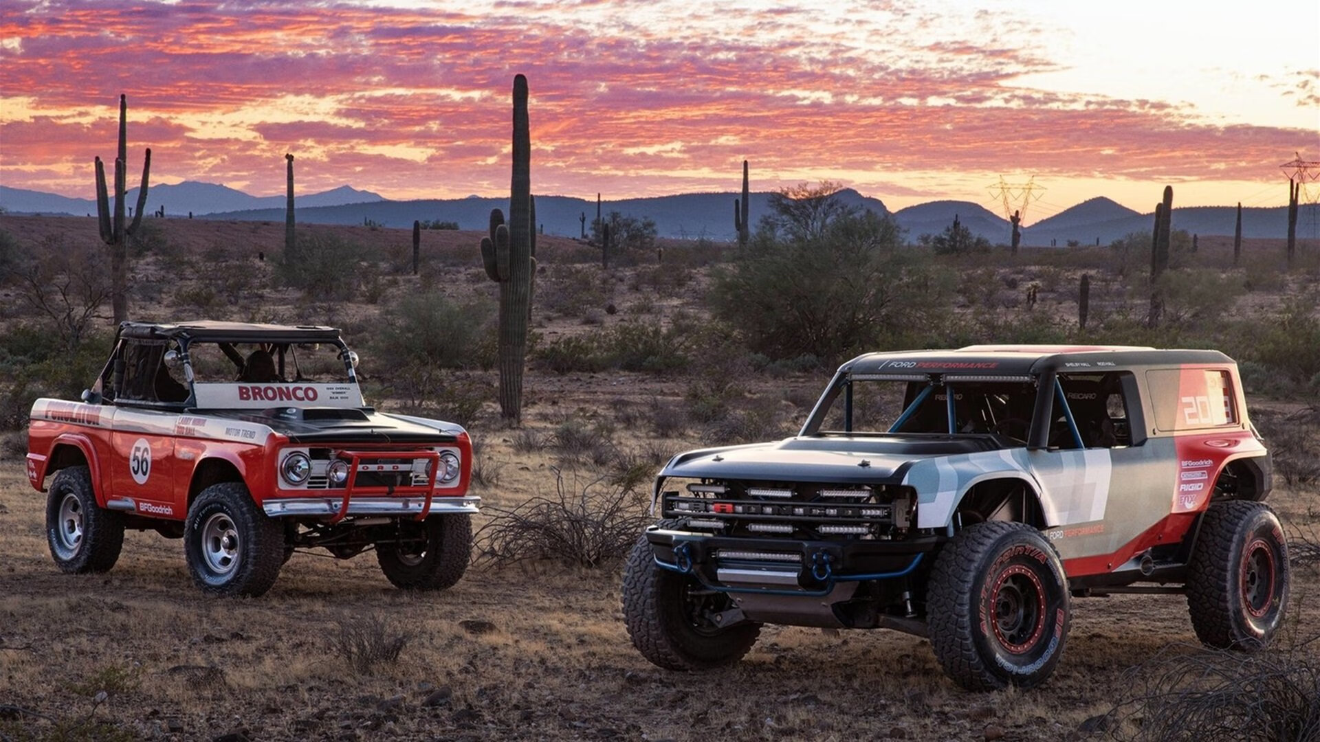 “飞盘赛事:成都三叉湖赛场上空中对抗高潮迭起”