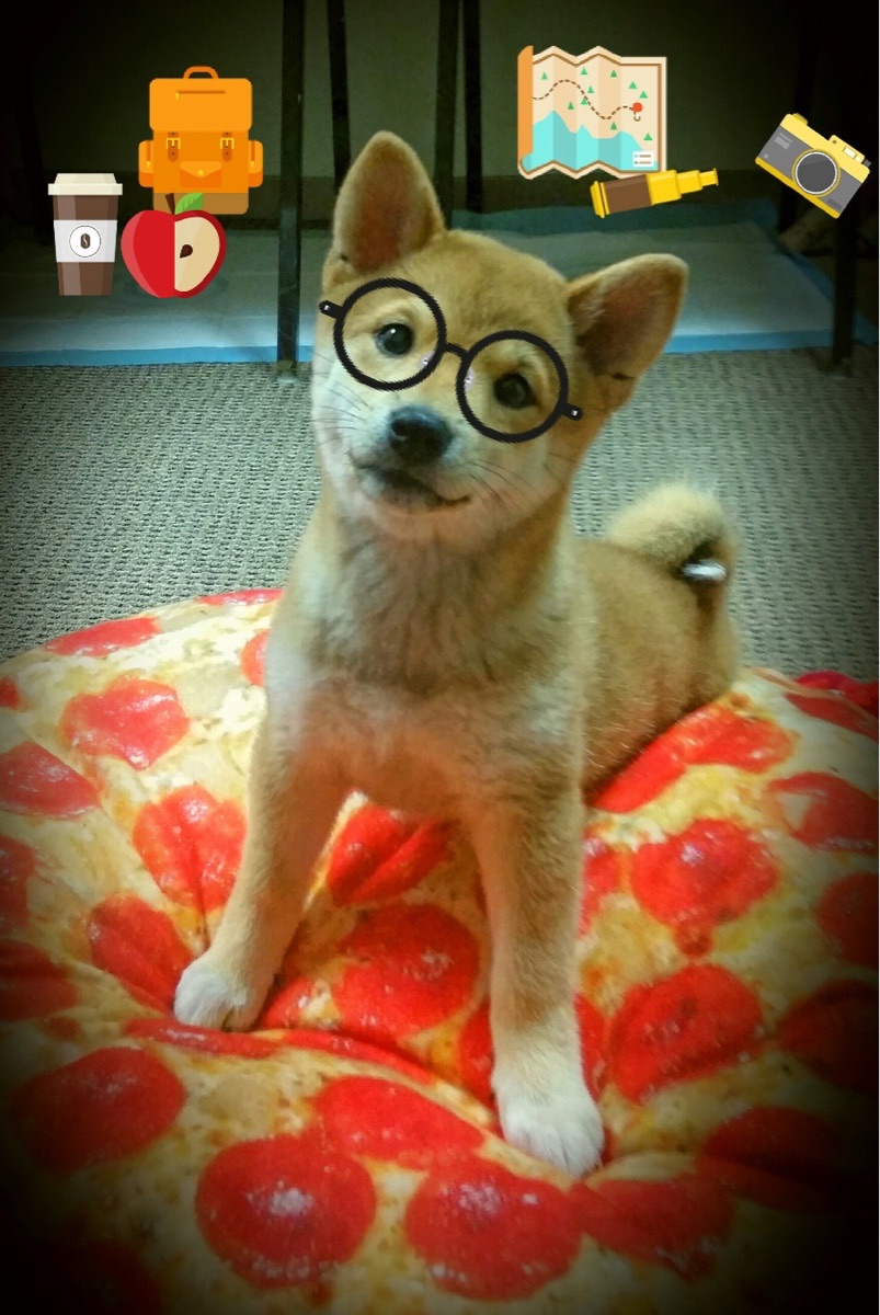 九游娱乐官网 (JIUYOU)-城市主场文化塑造带动地方篮球热情，城市主场在哪里