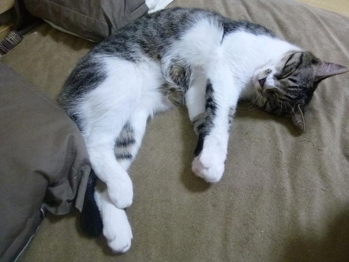 九游登录中心-明星球员带货直播开启体育电商新模式，体育明星商业代言