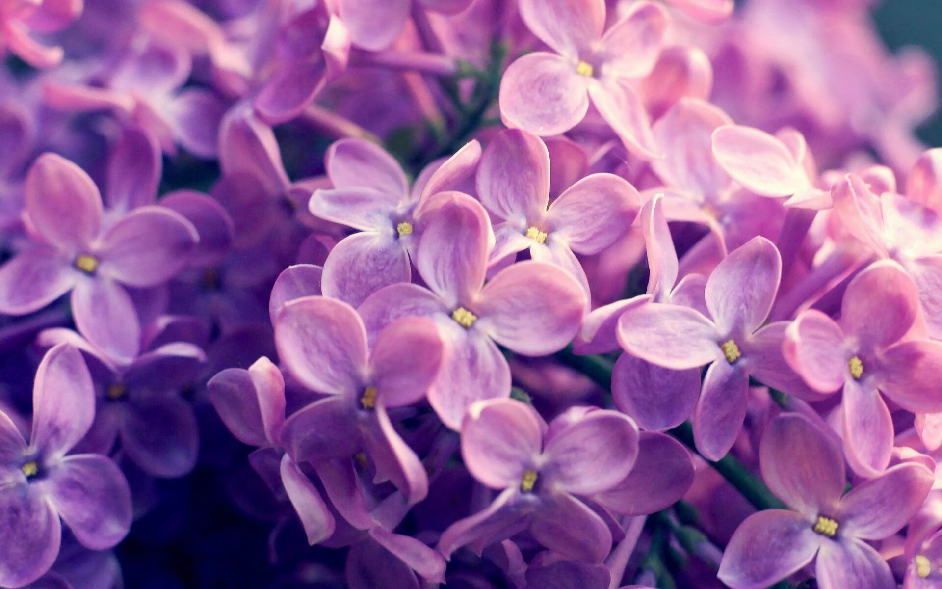 九游sports-新加坡队在国际乒联混合团体世界杯上的出色表现分析，新加坡乒乓球对