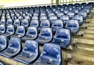 九游娱乐APP-竞彩市场火热，足球预测分析工具受追捧，竞彩足球预测推荐