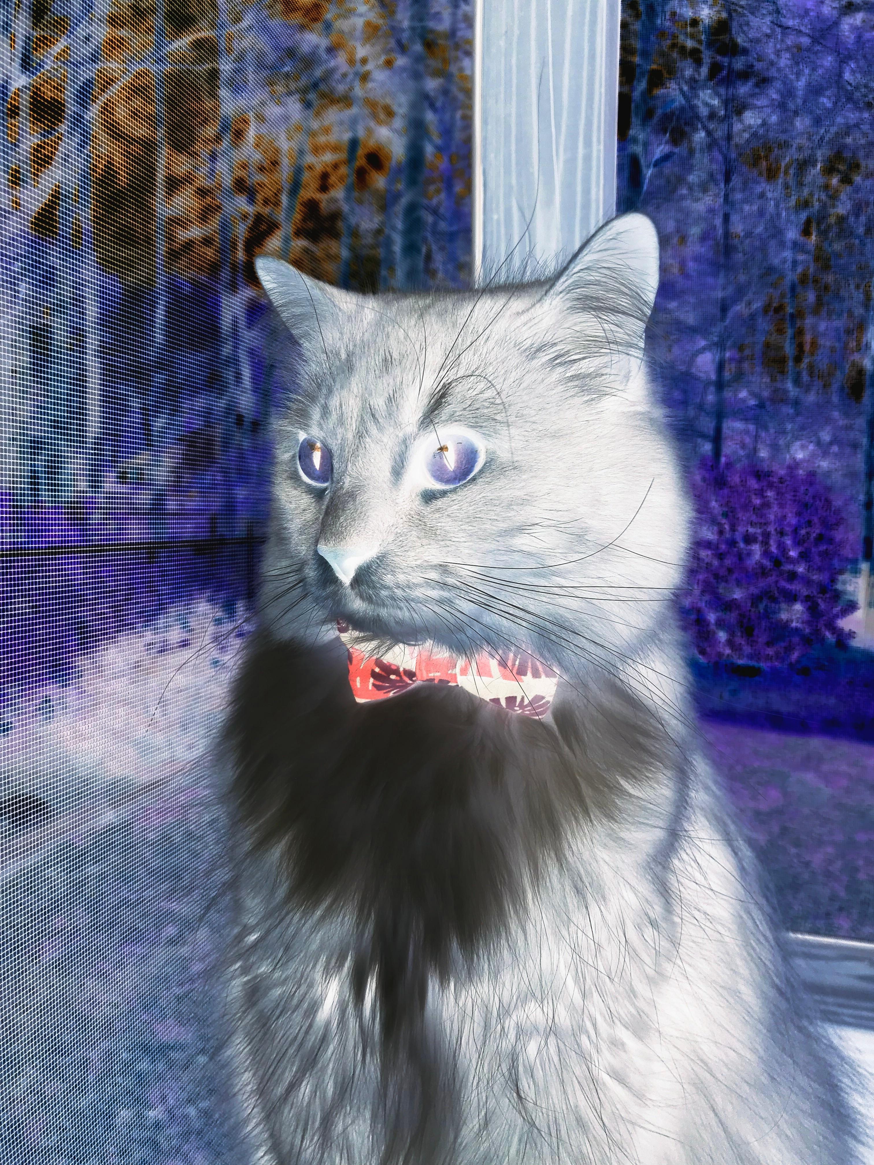 自由泳短程突尼斯爆发力提升,自由泳突破30秒